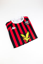 Lewes FC Football Shirt (Large)